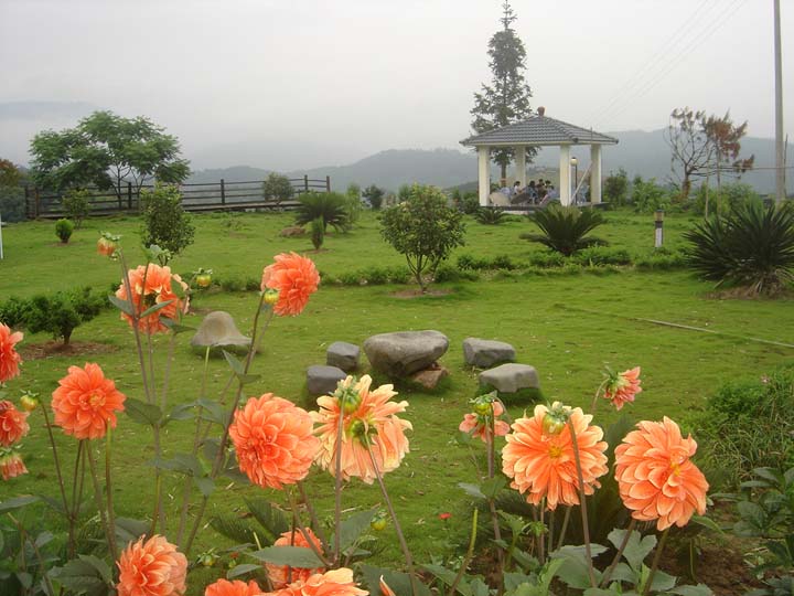 鄉(xiāng)村旅游體驗(yàn)視覺設(shè)計