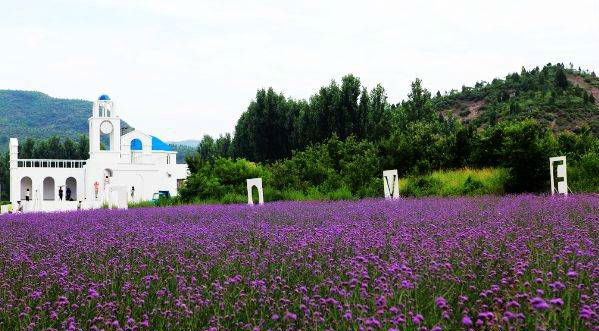 薰衣草莊園的營(yíng)銷策略