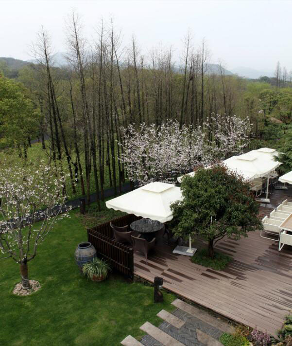 鄉(xiāng)村旅游規(guī)劃設計公司：熱土養(yǎng)生莊園旅游規(guī)劃之水杉林蔭道