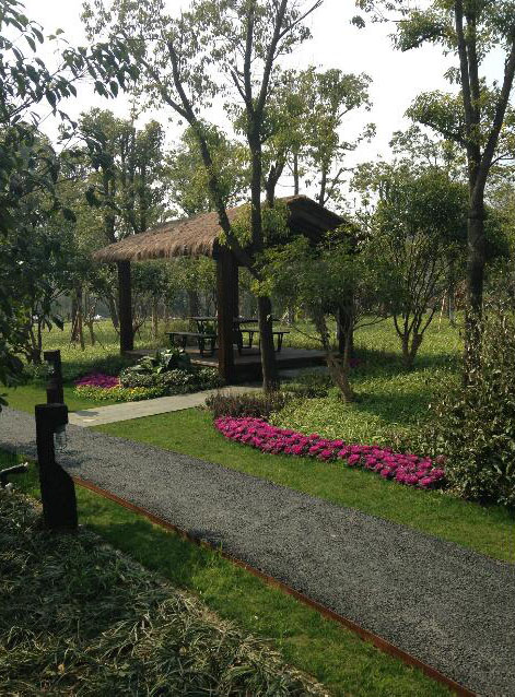 鄉(xiāng)村旅游規(guī)劃設計公司：熱土養(yǎng)生莊園旅游規(guī)劃之茅草亭