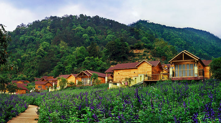 盤龍峽生態(tài)旅游區(qū)木屋旅游規(guī)劃與白色風(fēng)車、紫色花海相融相襯