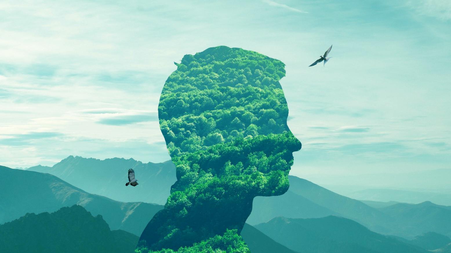 超級重磅：農(nóng)村集體土地直接入市開發(fā)，無需國家征地(全文+精解）