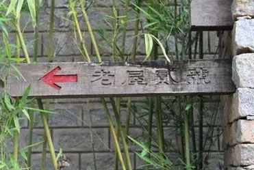 霸王嶺雨林老屋酒店景觀設(shè)計